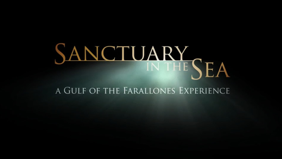 Sanctuary in the Sea: A Gulf of the Farallones Experience